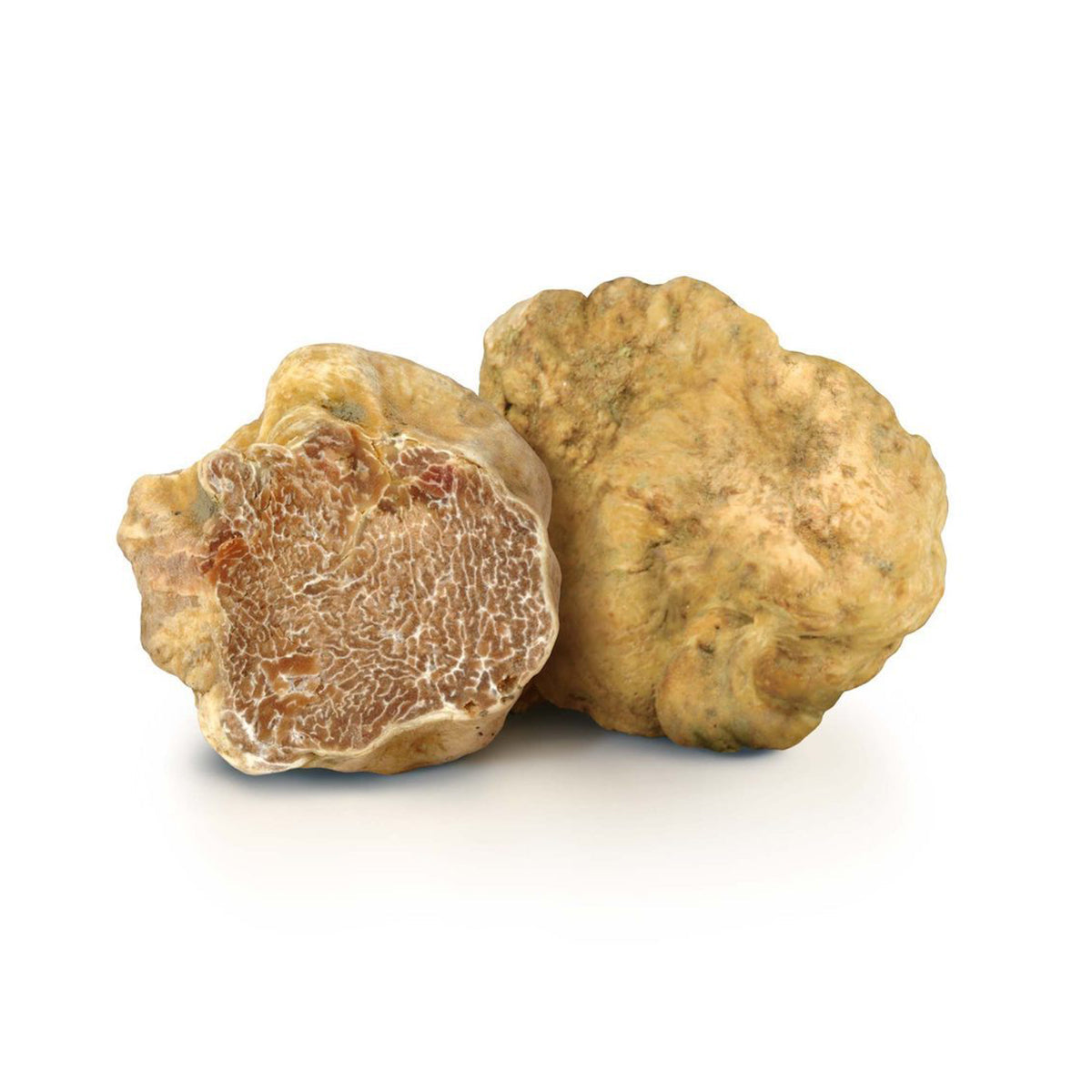 White Truffles Fresh - Colosseum Deli